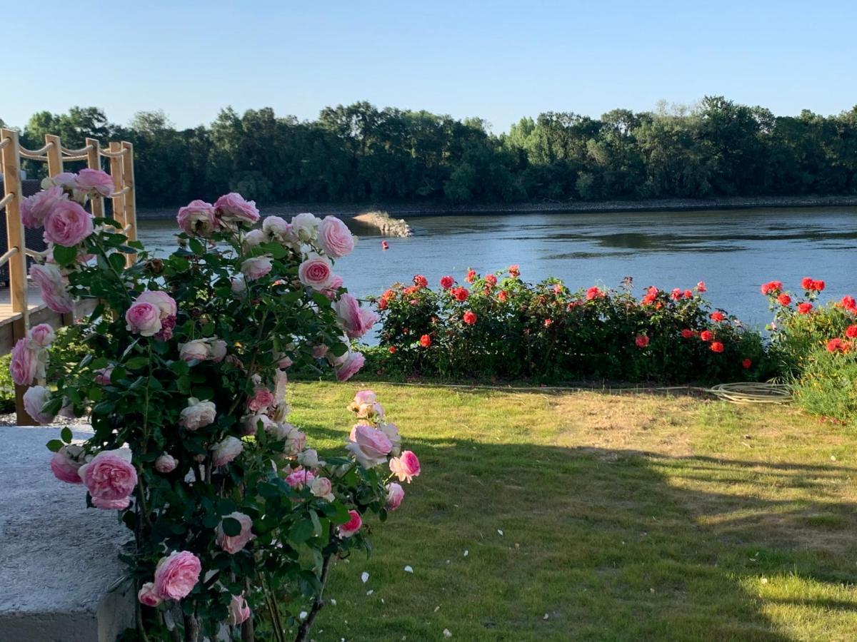 Maisons Au Bord De La Loire - Maison Paradis & Maison Bonheur Au 248 Riverside Le Fosse-Neuf Ngoại thất bức ảnh